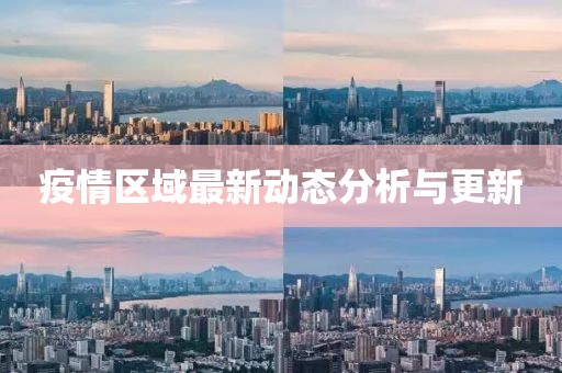 疫情区域最新动态分析与更新