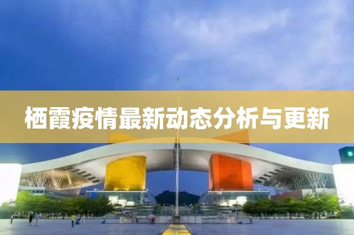 栖霞疫情最新动态分析与更新