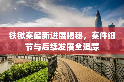 铁锹案最新进展揭秘，案件细节与后续发展全追踪