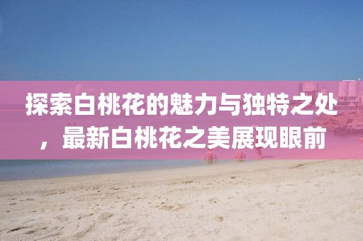 探索白桃花的魅力与独特之处，最新白桃花之美展现眼前