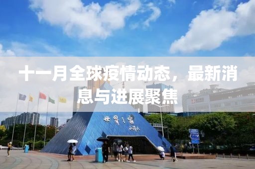 十一月全球疫情动态，最新消息与进展聚焦