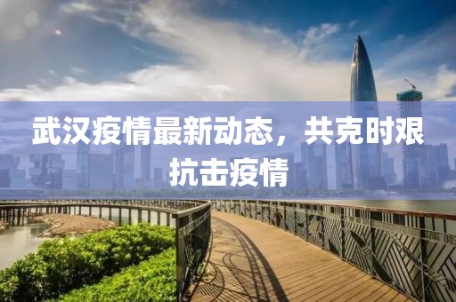 武汉疫情最新动态，共克时艰抗击疫情
