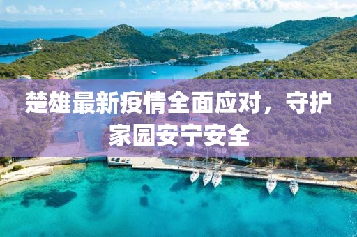 楚雄最新疫情全面应对，守护家园安宁安全