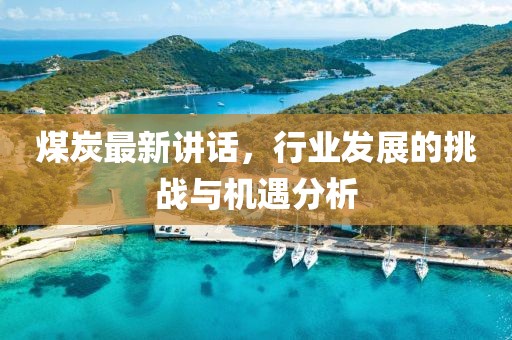 煤炭最新讲话，行业发展的挑战与机遇分析