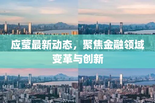 应莹最新动态，聚焦金融领域变革与创新