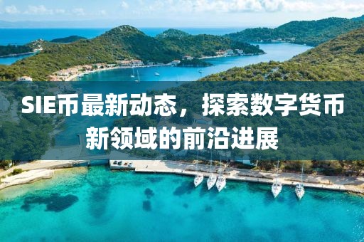 SIE币最新动态，探索数字货币新领域的前沿进展