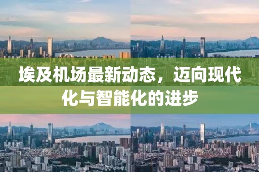 埃及机场最新动态，迈向现代化与智能化的进步