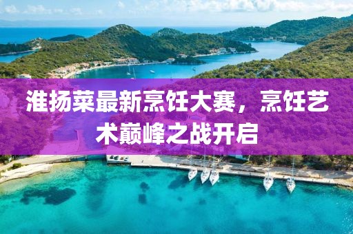 淮扬菜最新烹饪大赛，烹饪艺术巅峰之战开启