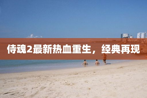 侍魂2最新热血重生，经典再现