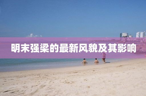 明末强梁的最新风貌及其影响