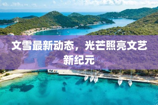 文雪最新动态，光芒照亮文艺新纪元