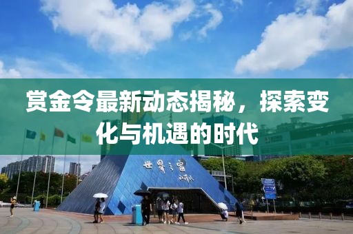 赏金令最新动态揭秘，探索变化与机遇的时代