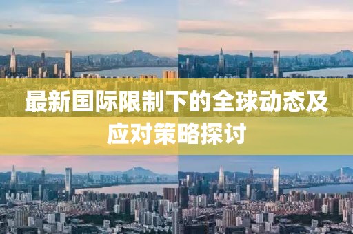 最新国际限制下的全球动态及应对策略探讨