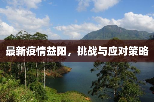 最新疫情益阳，挑战与应对策略