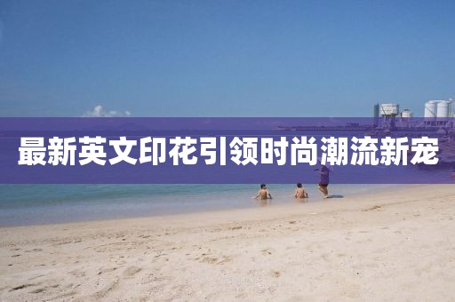 最新英文印花引领时尚潮流新宠