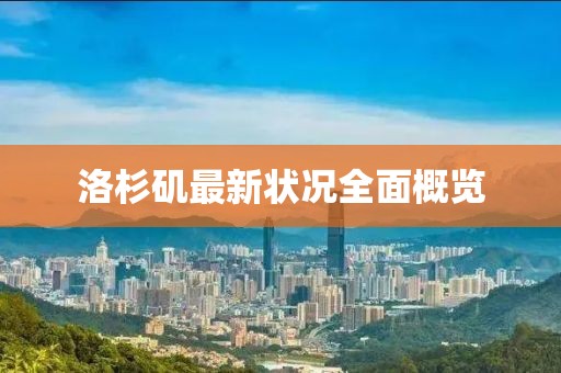 洛杉矶最新状况全面概览