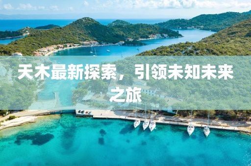 天木最新探索，引领未知未来之旅