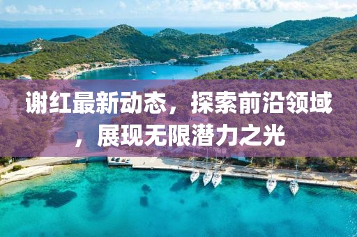 谢红最新动态，探索前沿领域，展现无限潜力之光