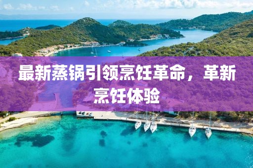 最新蒸锅引领烹饪革命，革新烹饪体验