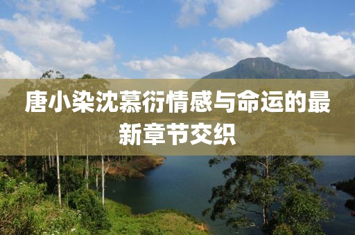 唐小染沈慕衍情感与命运的最新章节交织