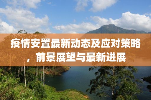 疫情安置最新动态及应对策略，前景展望与最新进展