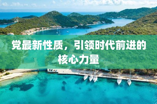 党最新性质，引领时代前进的核心力量