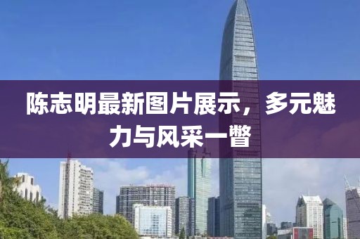 陈志明最新图片展示，多元魅力与风采一瞥