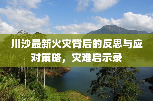 川沙最新火灾背后的反思与应对策略，灾难启示录