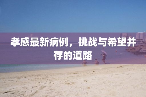 孝感最新病例，挑战与希望并存的道路