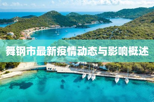 舞钢市最新疫情动态与影响概述