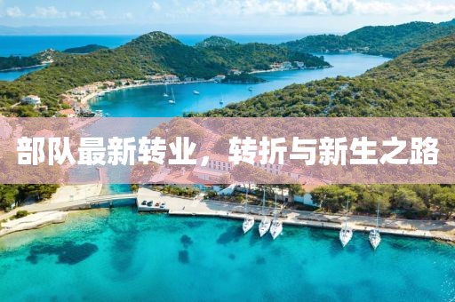 初告白 第10页