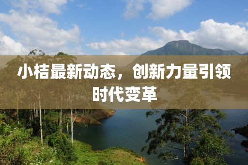 小桔最新动态，创新力量引领时代变革