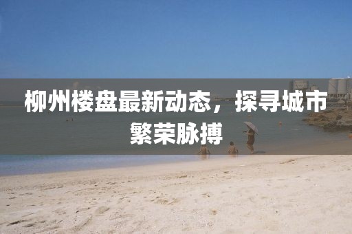 柳州楼盘最新动态，探寻城市繁荣脉搏