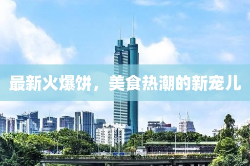 最新火爆饼，美食热潮的新宠儿