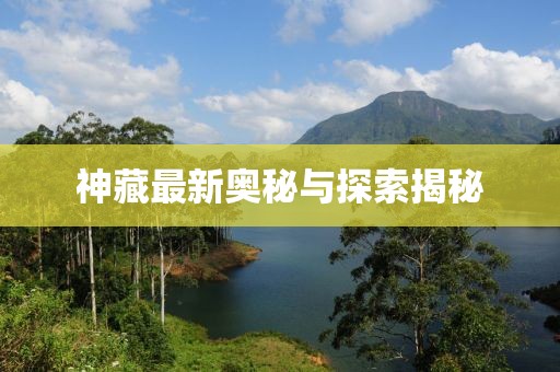 神藏最新奥秘与探索揭秘