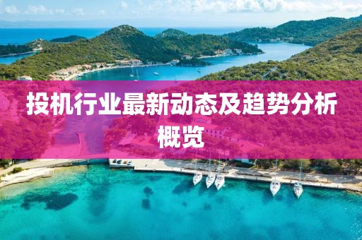 投机行业最新动态及趋势分析概览