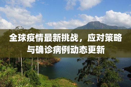 全球疫情最新挑战，应对策略与确诊病例动态更新