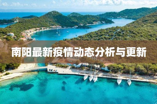 南阳最新疫情动态分析与更新