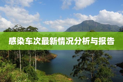 言清欢 第10页