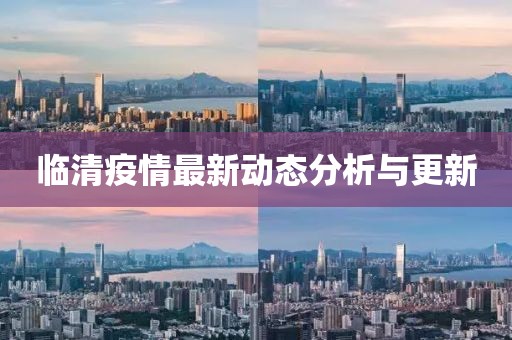 临清疫情最新动态分析与更新