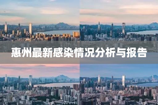 惠州最新感染情况分析与报告