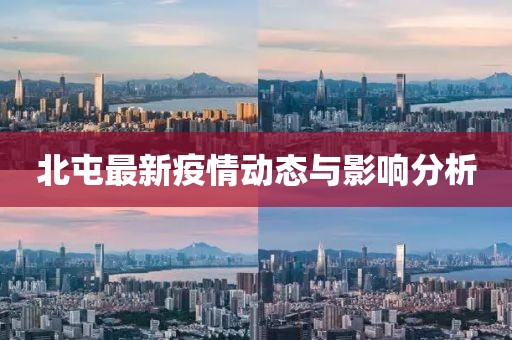 北屯最新疫情动态与影响分析