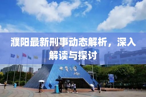 濮阳最新刑事动态解析，深入解读与探讨