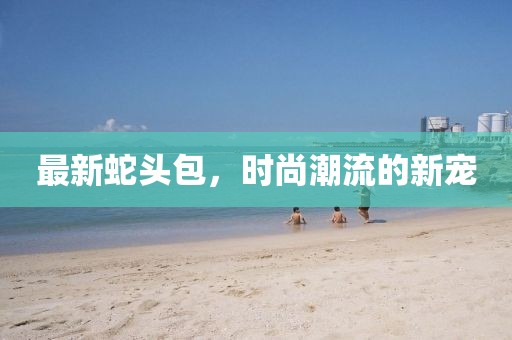 最新蛇头包，时尚潮流的新宠