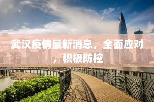武汉疫情最新消息，全面应对，积极防控