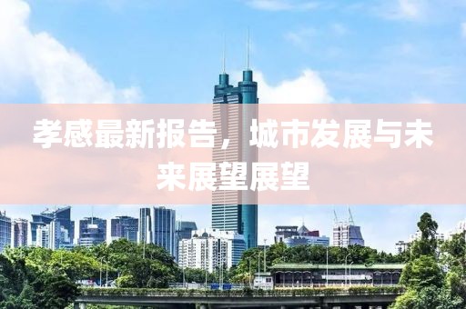 孝感最新报告，城市发展与未来展望展望