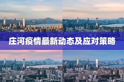 庄河疫情最新动态及应对策略
