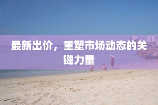 最新出价，重塑市场动态的关键力量