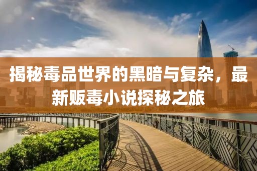 揭秘毒品世界的黑暗与复杂，最新贩毒小说探秘之旅