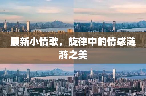 最新小情歌，旋律中的情感涟漪之美